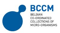 bccm